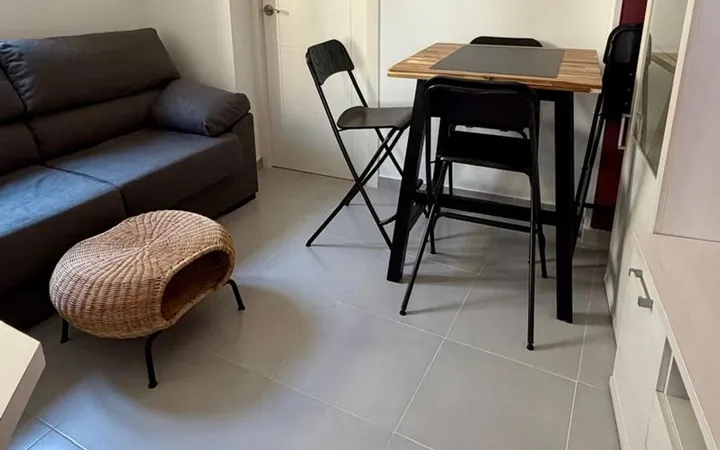 Piso en Calle Salitre, 35, Lavapiés-Embajadores - Foto 7