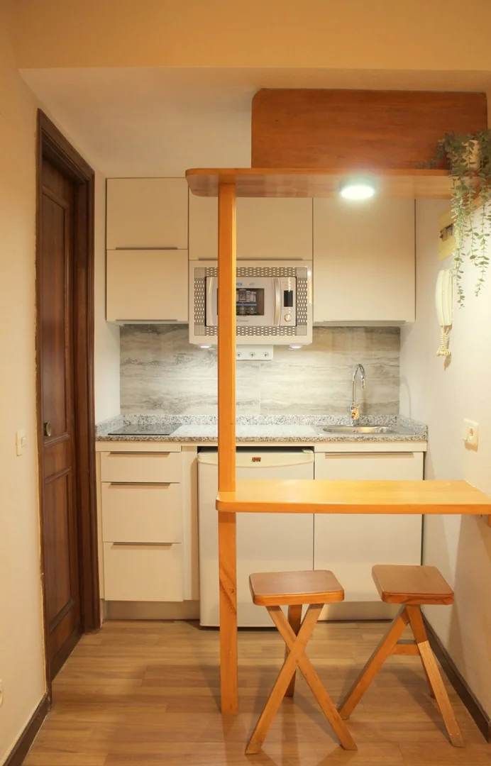 Estudio en Calle de la Virtudes, 14, Almagro - Foto 3