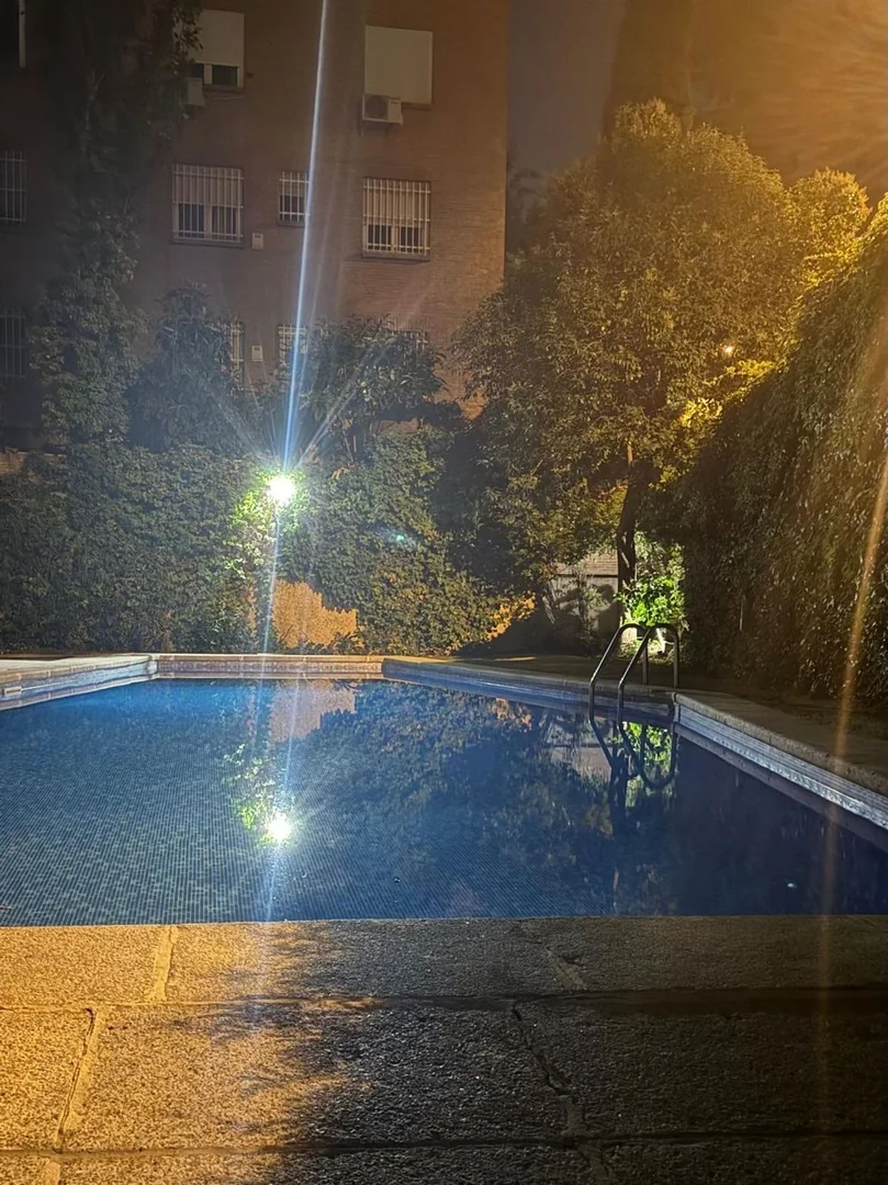 Estudio en Calle de Menéndez Pidal, 27, Nueva España - Foto 5
