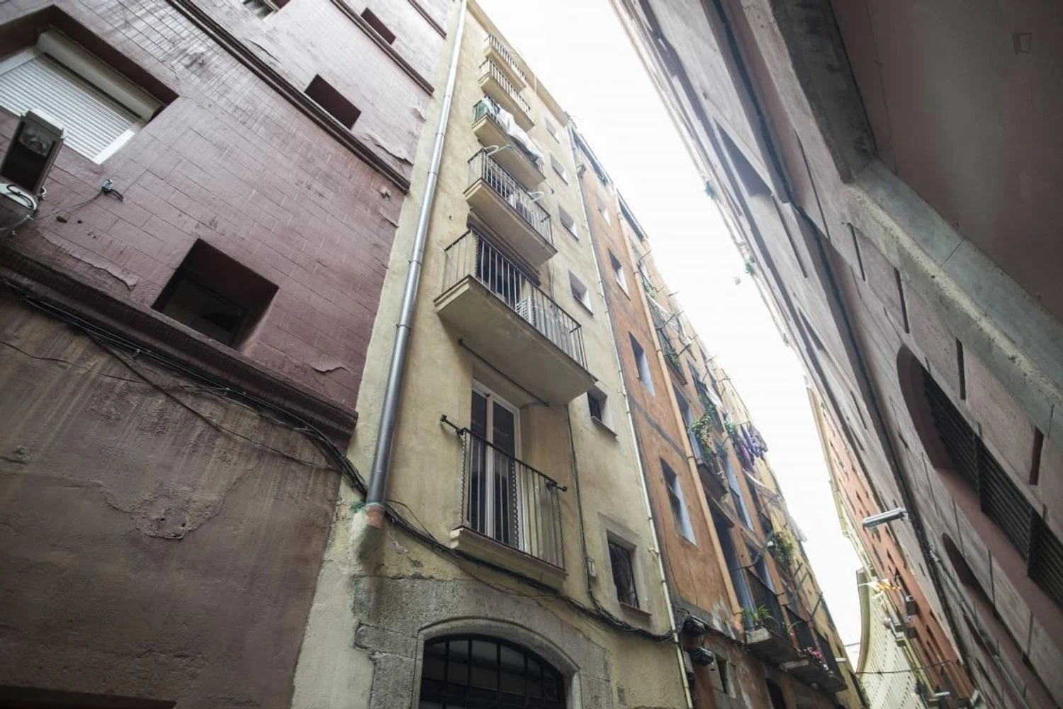 Estudio en Calle d'En Cortines, Sant Pere - Santa Caterina i la Ribera - Foto 18