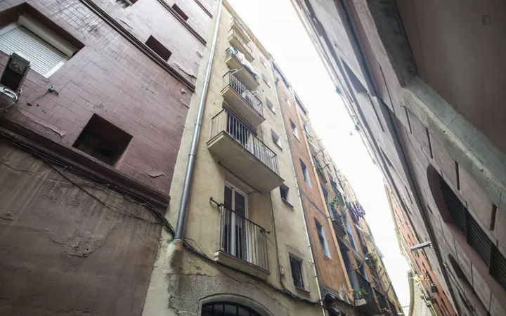 Estudio en Calle d'En Cortines, Sant Pere - Santa Caterina i la Ribera - Foto 18