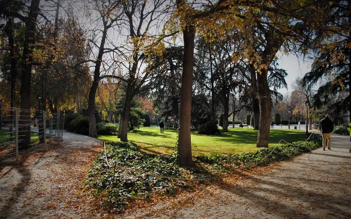 Piso en Goya, Goya - Foto 38