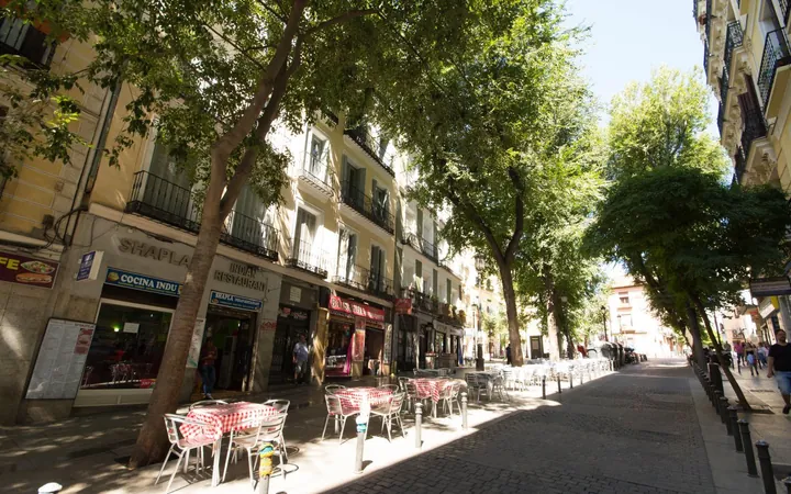 Piso en Calle de Lavapiés, 42, Lavapiés-Embajadores - Foto 14