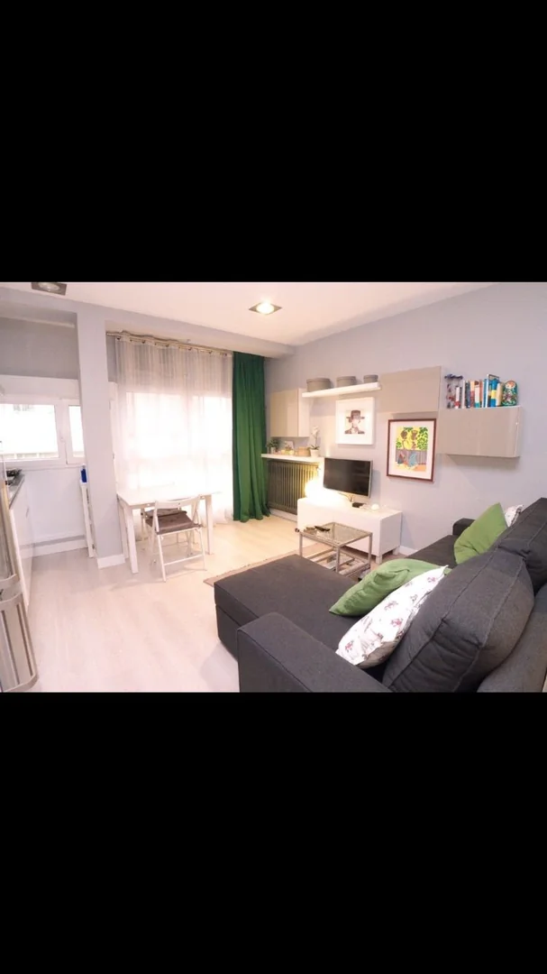 Estudio en Calle de Evaristo San Miguel, 4 - Foto 4