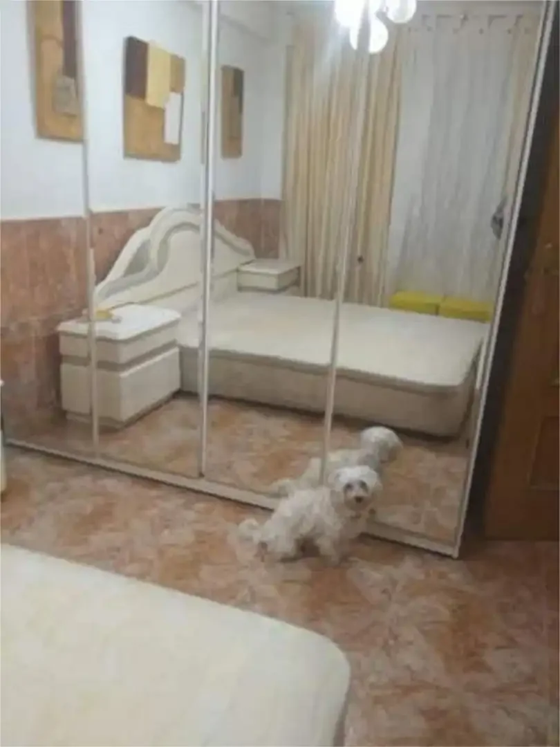 Piso en Villa de Vallecas - Foto 3