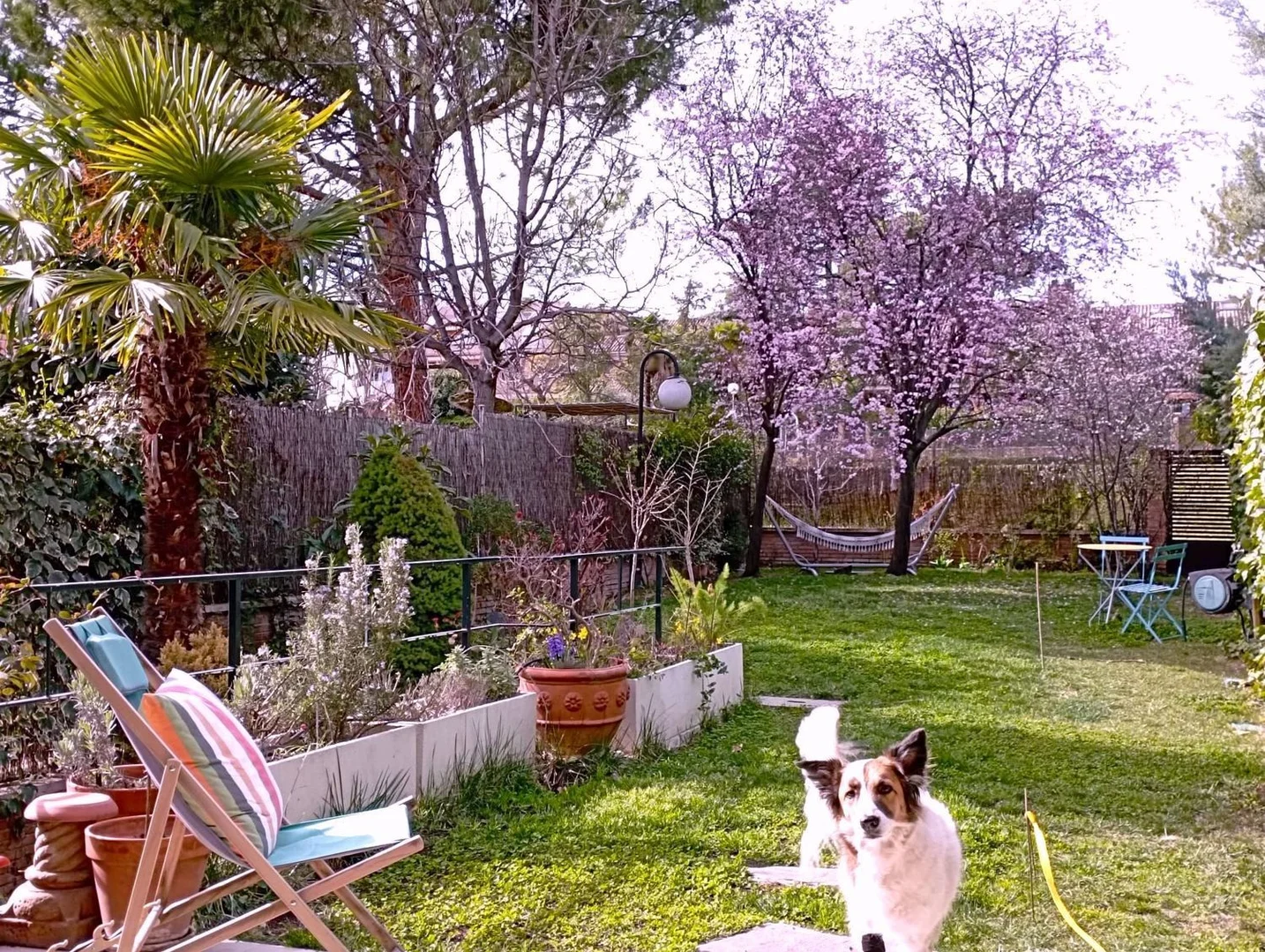 Chalet adosado en calle de La Rioja, 43 - Foto 2