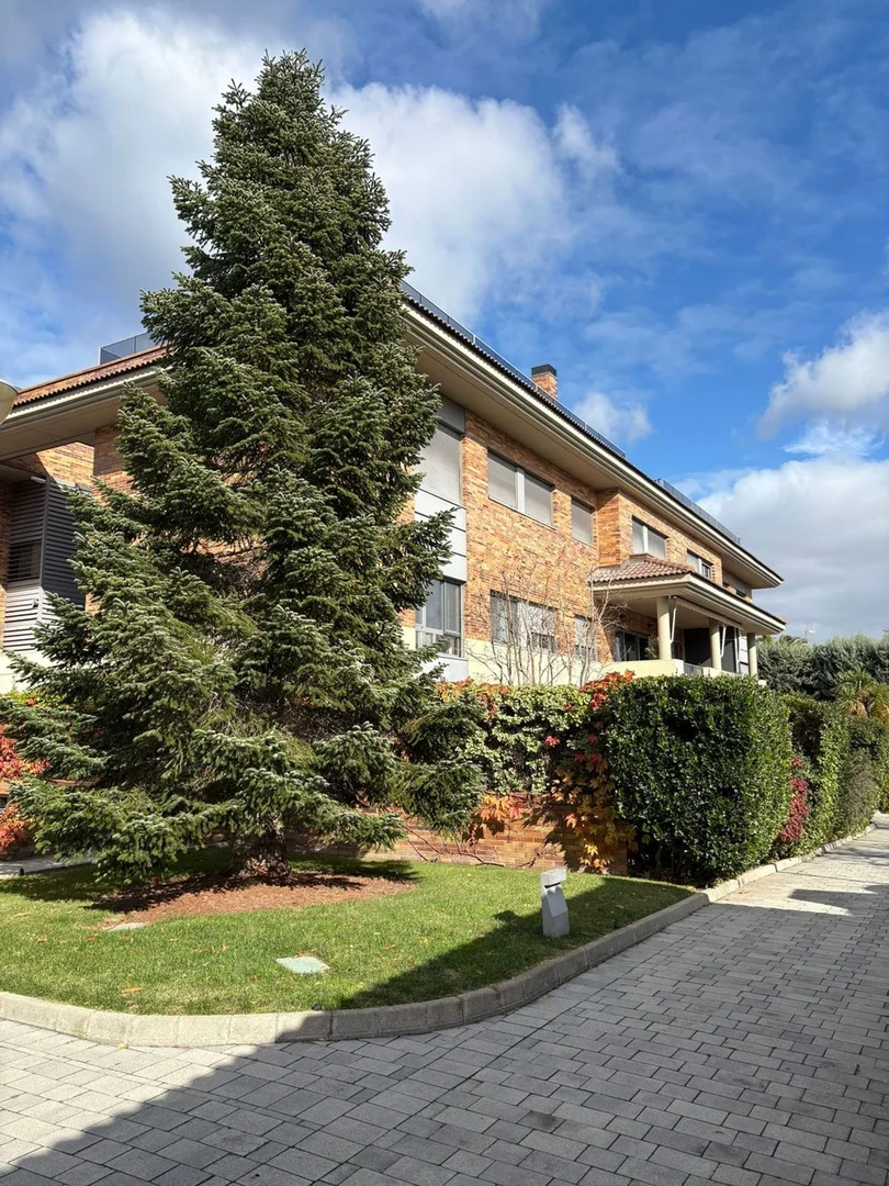 Piso en calle de Cabellera de Berenice, 44