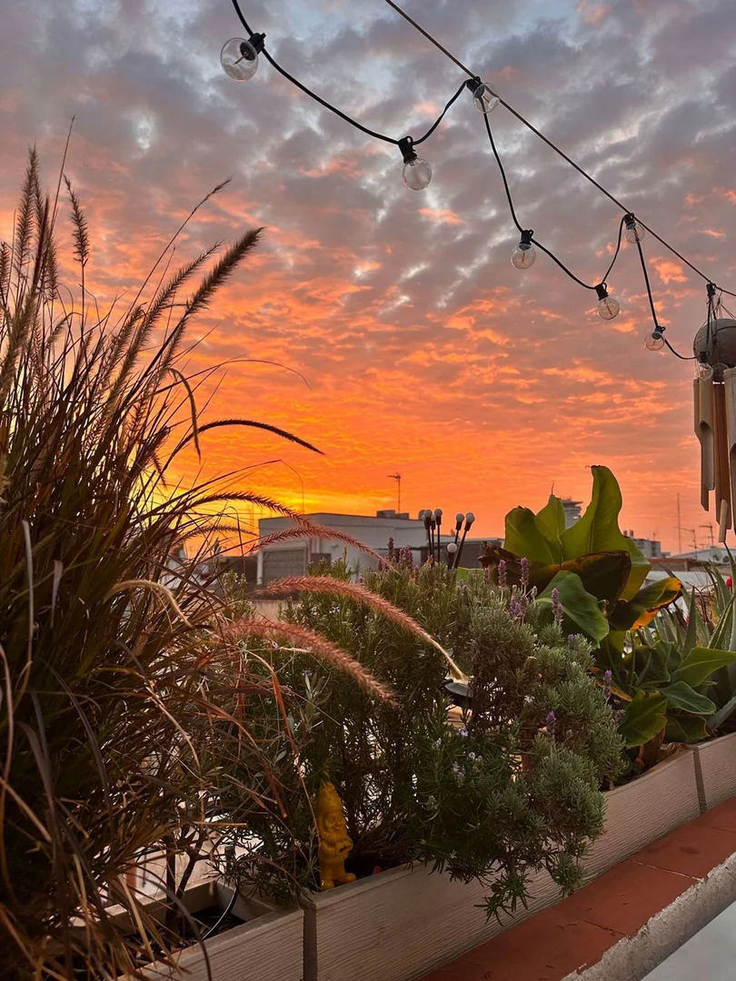 Ático en calle de les Carretes, 44 - Foto 1