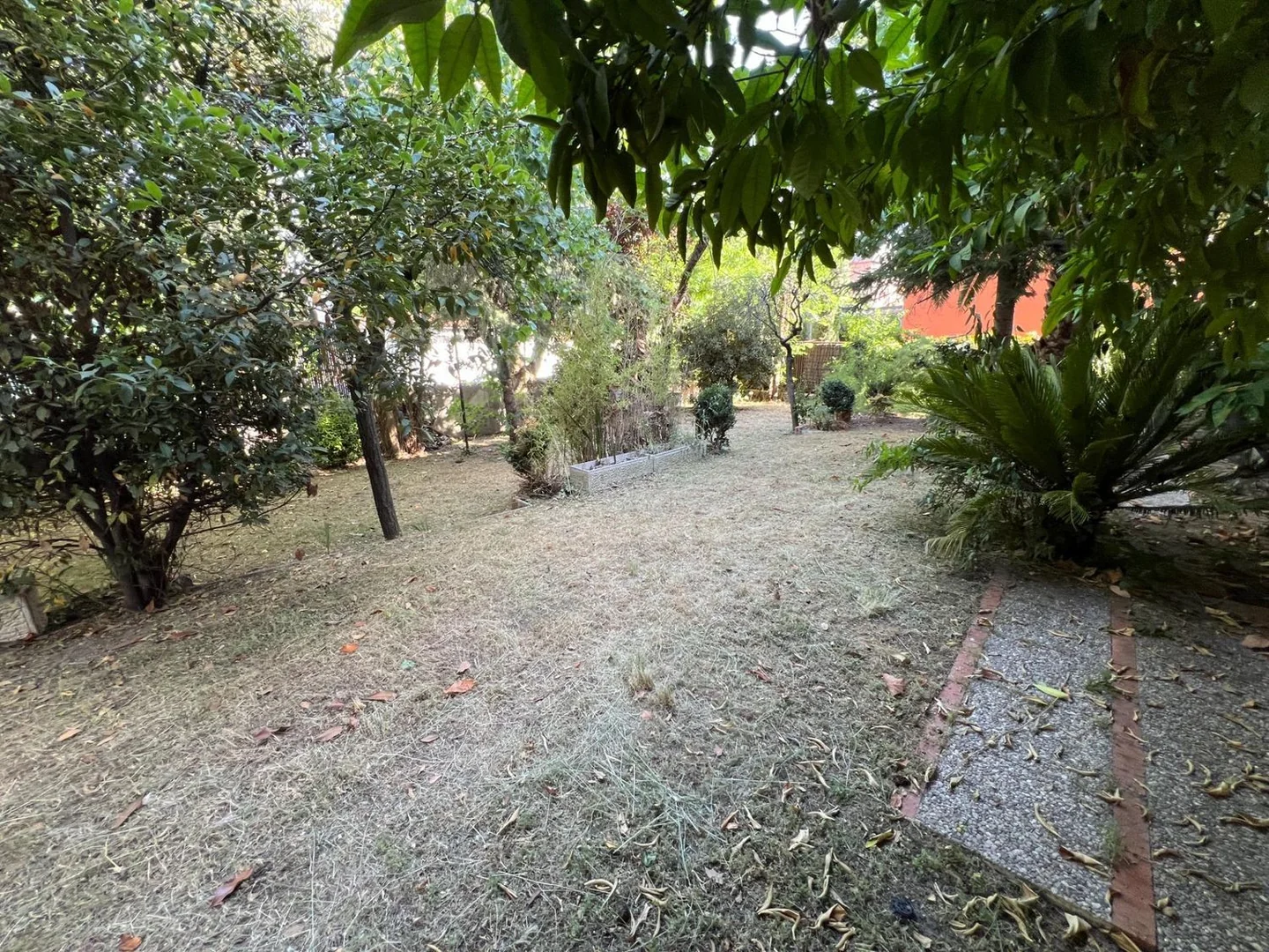 Casa o chalet independiente en Nueva España - Foto 8