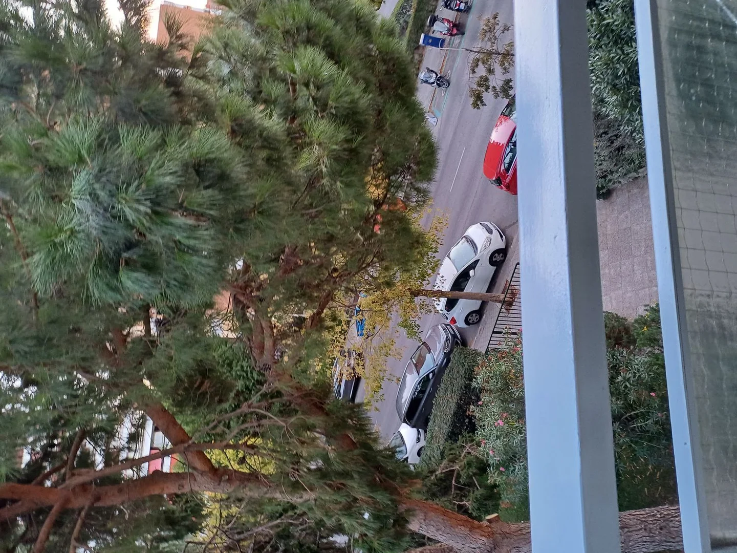 Alquiler de piso en Avenida del Doctor Federico Rubio y Galí, Madrid, 67 - Foto 4