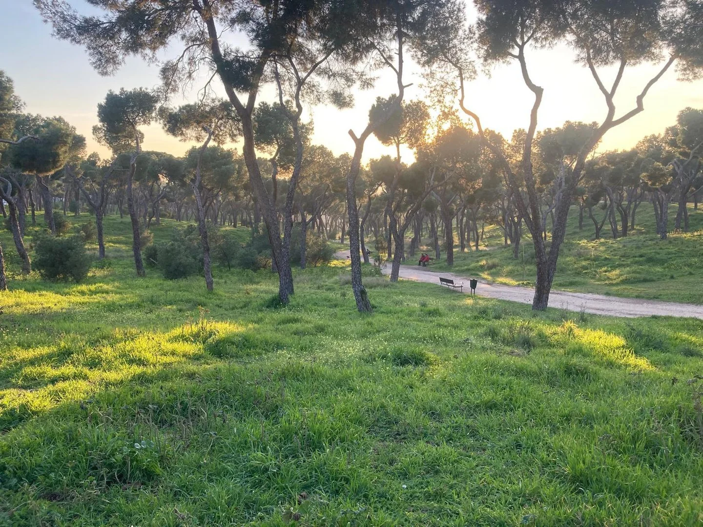 Piso en calle de Tremp, 7 - Foto 31