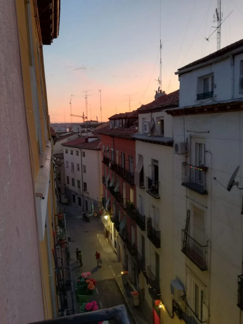 Piso en Calle Salitre, 27, Lavapiés-Embajadores - Foto 8