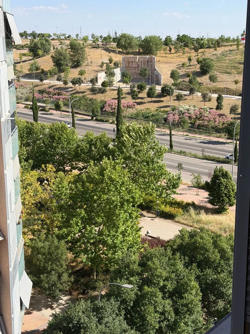 Piso en Calle Villamanta, 14, Ensanche de Vallecas - La Gavia - Foto 29