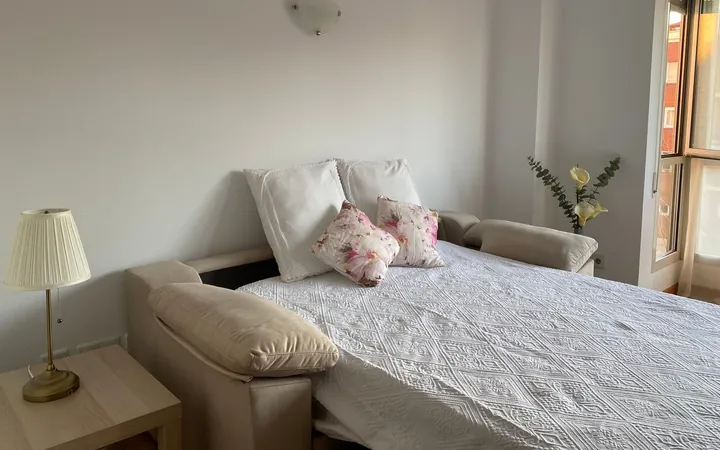 Estudio en Paseo de la Florida, 24, Casa de Campo - Foto 6