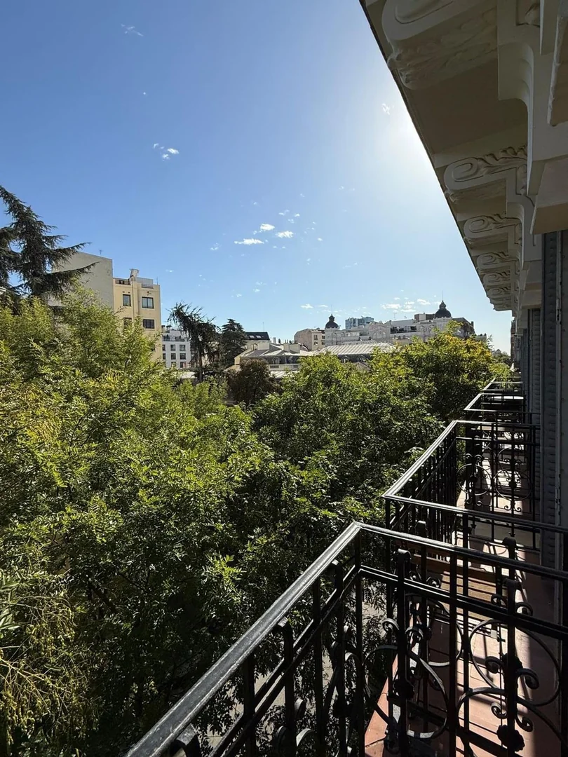 Piso en Calle de Zurbano, 31, Almagro - Foto 4