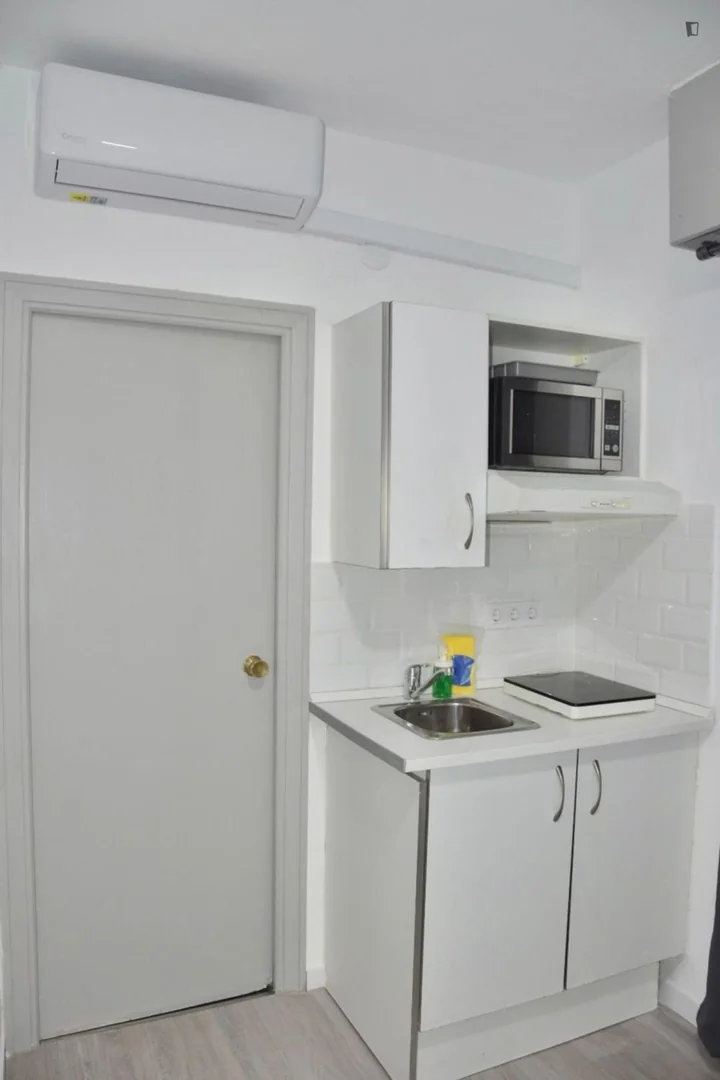 Estudio en Calle de Vallehermoso, Arapiles - Foto 9