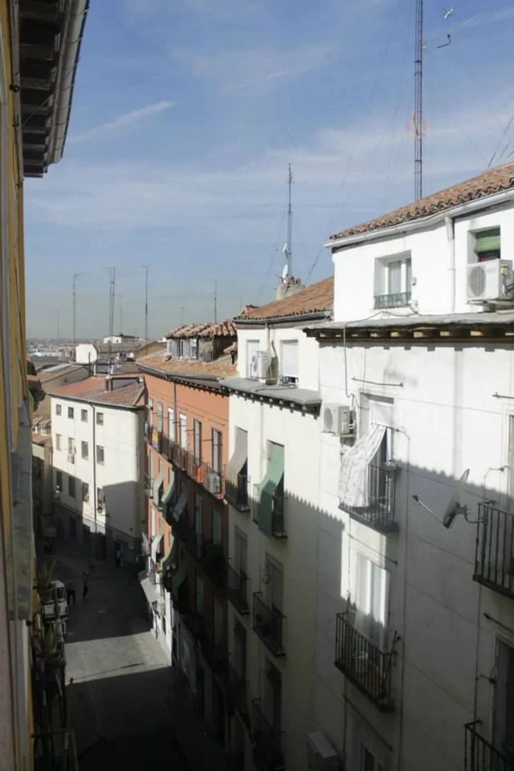 Piso en Calle Salitre, 27, Lavapiés-Embajadores - Foto 9