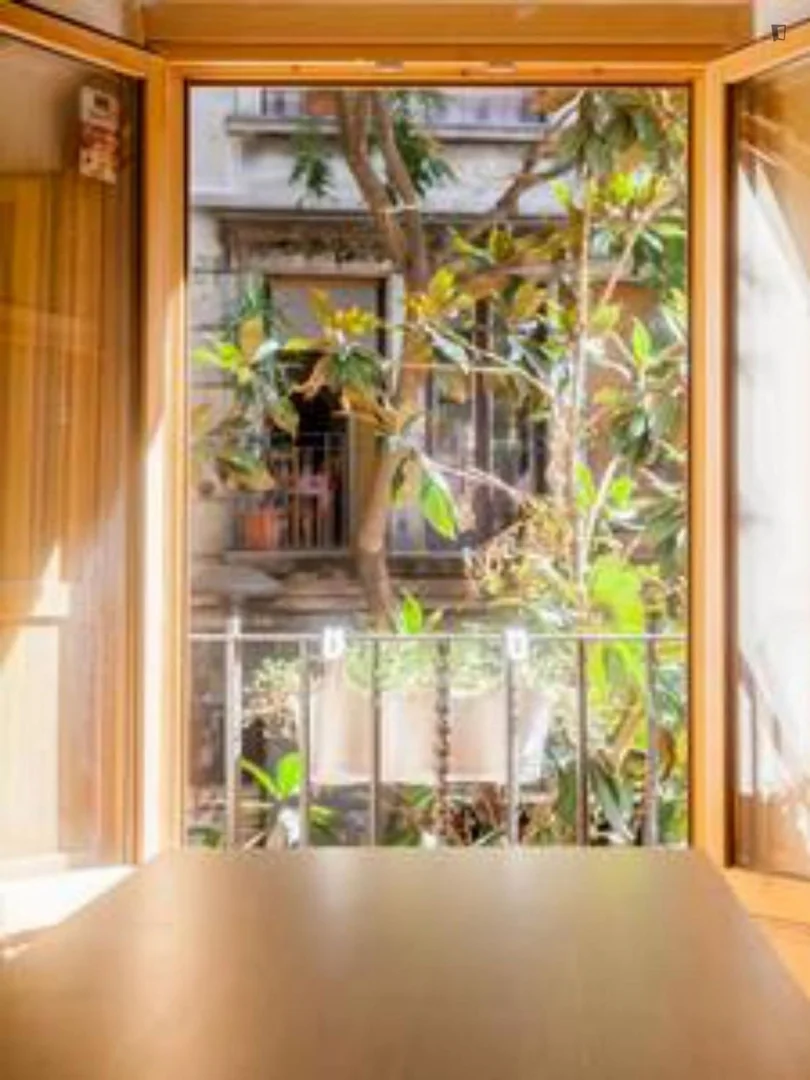 Estudio en Calle de la Riera Alta, El Raval - Foto 10