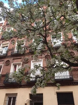 Piso en calle Jerte, 8 - Foto 18