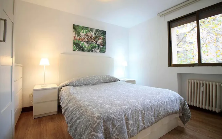 Estudio en Calle del Doctor Fleming, 44, Nueva España - Foto 14