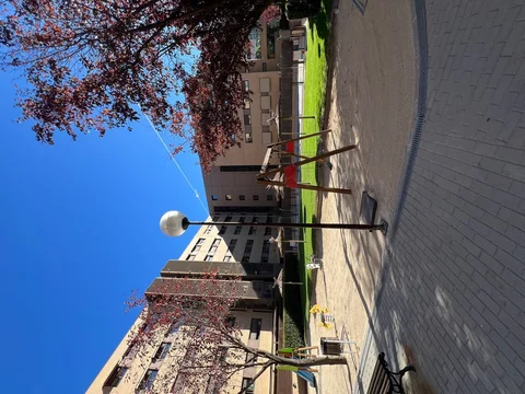 Piso en calle Alcalde Henche de la Plata, 7 - Foto 2