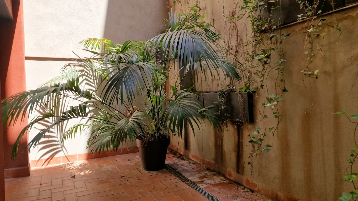 Piso en Calle de l'Escorial, El Camp d'En Grassot i Gràcia Nova - Foto 10