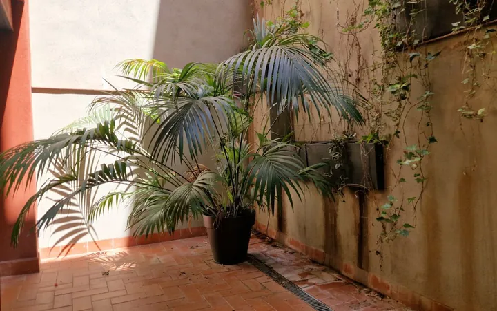Piso en Calle de l'Escorial, El Camp d'En Grassot i Gràcia Nova - Foto 10