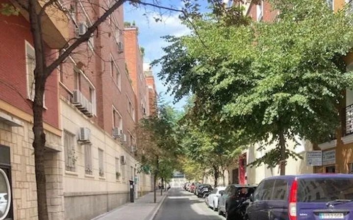 Piso en Calle de la Povedilla, 6, Goya - Foto 14
