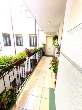 Piso en paseo del Rey, 18 - Foto 14