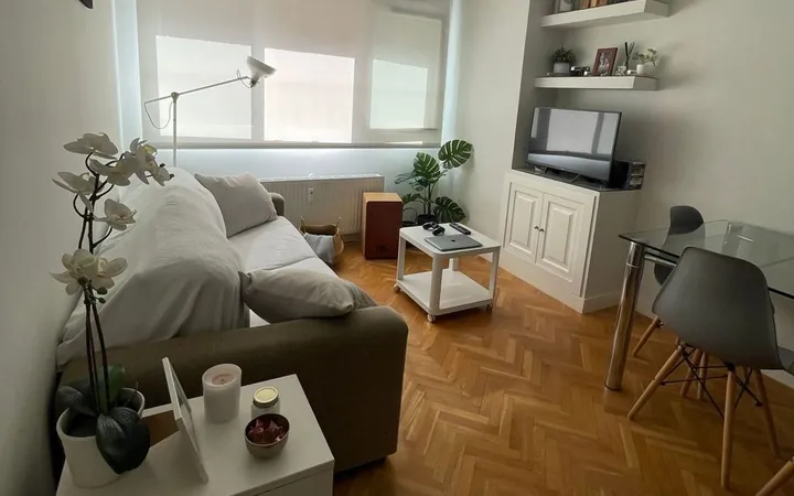 Piso en Calle Potosí, 2, Bernabéu-Hispanoamérica - Foto 2