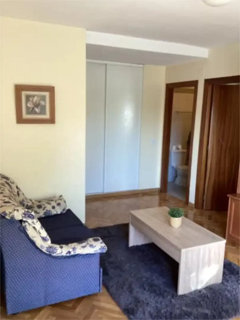 Apartamento en Puerta de Toledo - Foto 8