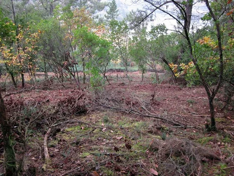 Casa de pueblo en Troncoso s/n - Foto 6
