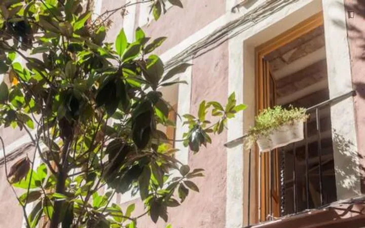 Estudio en Calle de la Riera Alta, El Raval - Foto 11