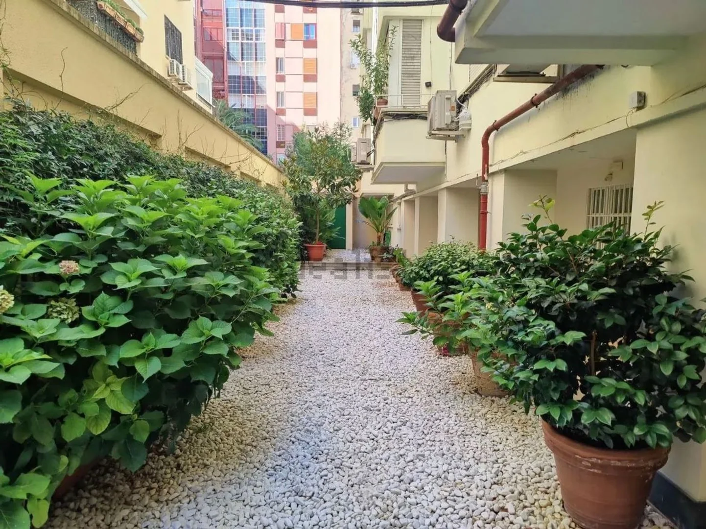 Piso en Calle de Maldonado, 63, Lista - Foto 21
