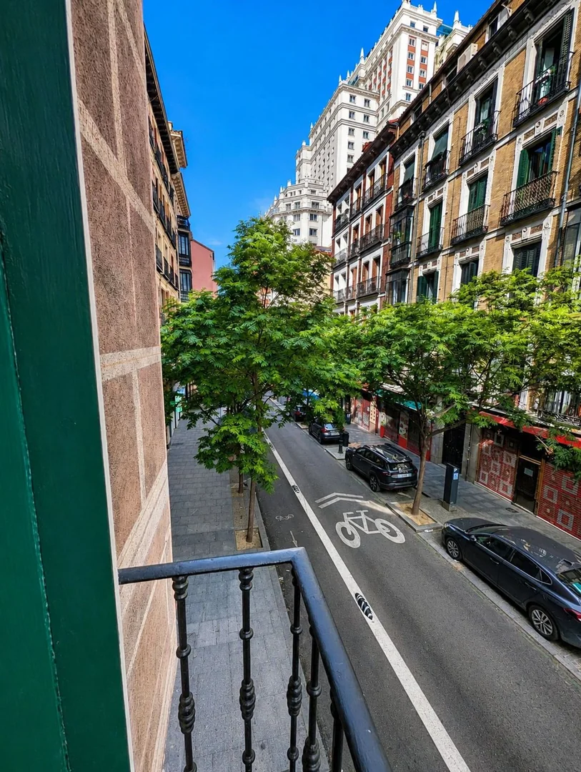 Piso en Reyes, Malasaña-Universidad - Foto 20