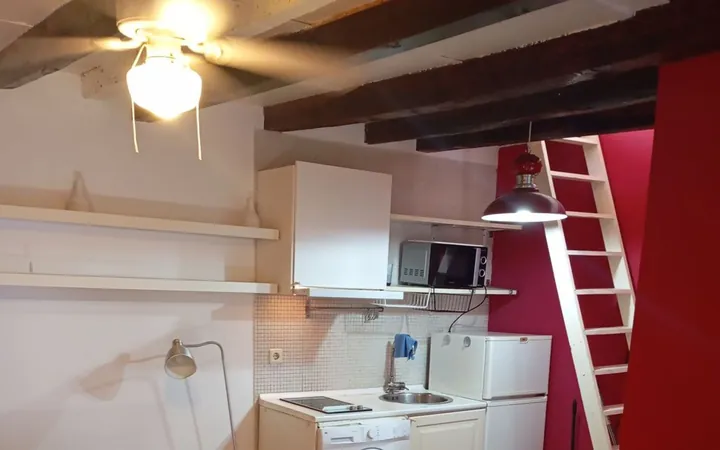 Estudio en Calle del Mesón de Paredes, 55, Lavapiés-Embajadores - Foto 1