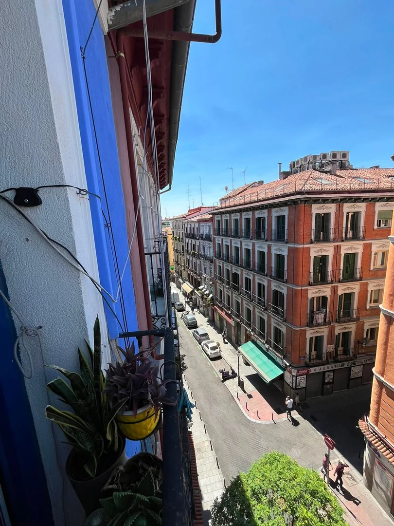 Piso en Calle de Lavapiés, 45, Lavapiés-Embajadores - Foto 8