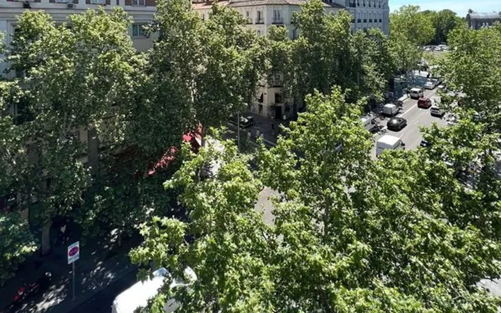 Piso en Calle de Serrano, Recoletos - Foto 4