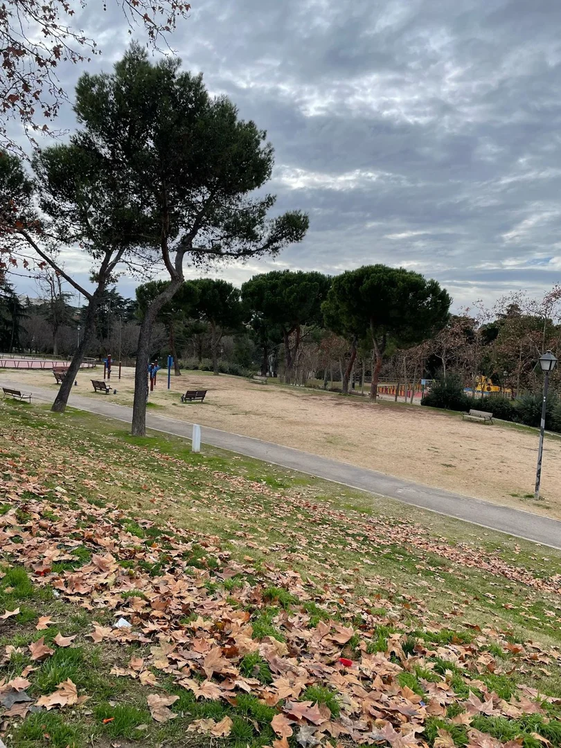 Piso en calle Cordobanes, 15 - Foto 11