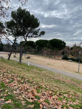 Piso en calle Cordobanes, 15 - Foto 11