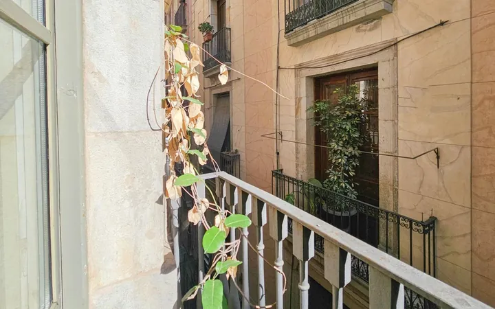 Piso en Calle dels Còdols, El Gòtic - Foto 2
