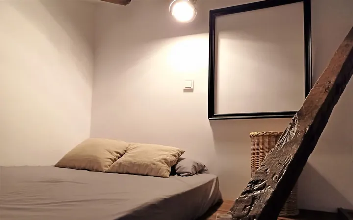 Dúplex en Calle de Zurita, 43, Lavapiés-Embajadores - Foto 20