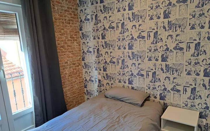 Piso en Plaza de Cascorro, 17, Lavapiés-Embajadores - Foto 8