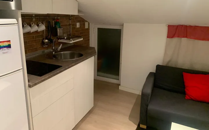 Piso en Calle de Rodas, 10, Lavapiés-Embajadores - Foto 1