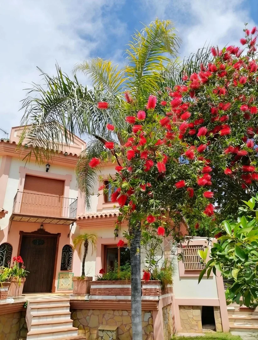 Finca rústica en camino Nicola, 240 - Foto 3