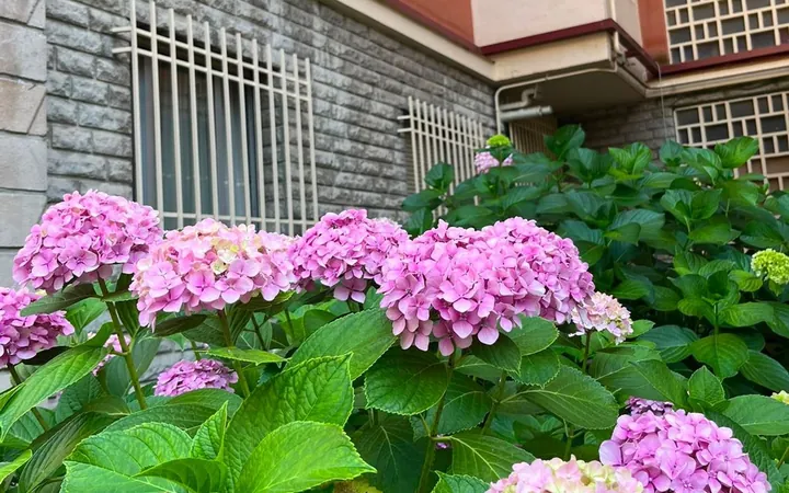 Piso en Calle de Camarena, 95, Aluche - Foto 18