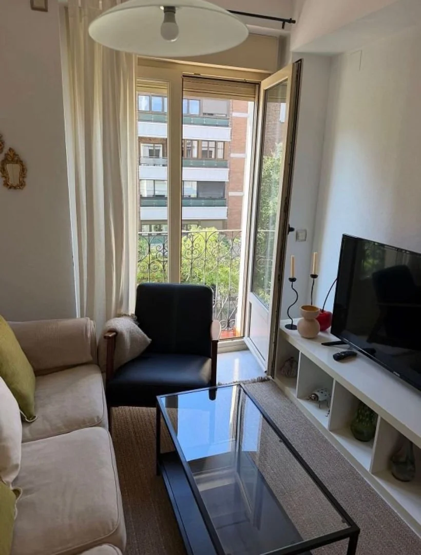 Piso en Calle de María de Molina, 37, El Viso - Foto 18