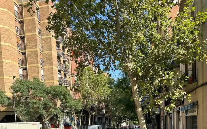 Local comercial en  Carrer Carrer Navas de Tolosa - Foto 17