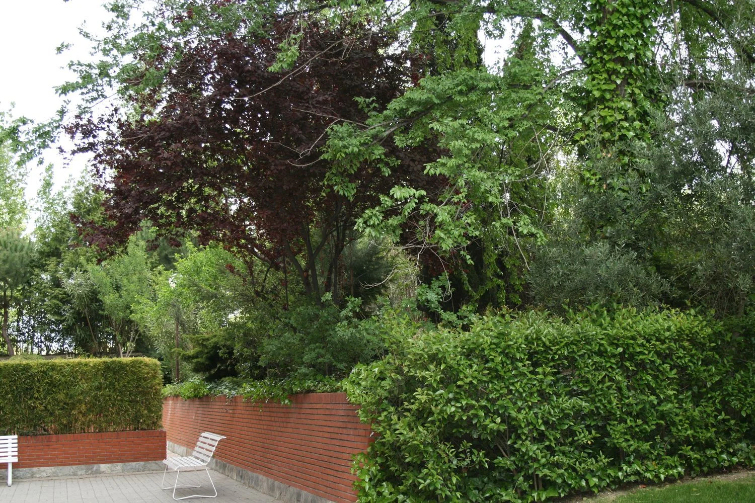 Piso en calle de Rosalía de Castro, 73 - Foto 26