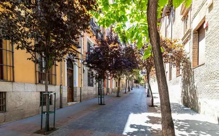 Apartamento en  Calle de las Huertas 20 - Foto 8